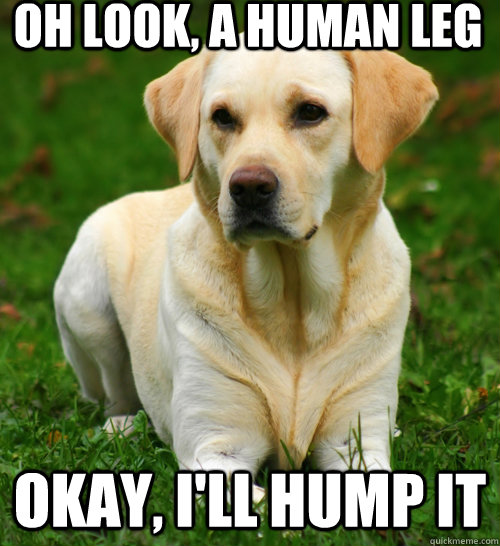 Oh look, a human leg okay, i'll hump it - Oh look, a human leg okay, i'll hump it  Dog Logic