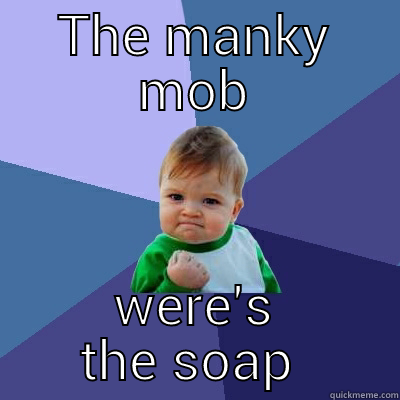 THE MANKY MOB WERE'S THE SOAP  Success Kid