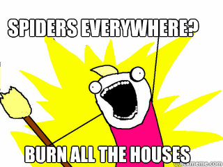 Spiders everywhere? burn all the houses  All The Things