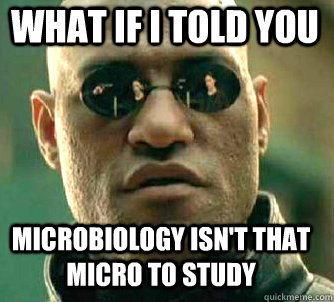 what if i told you Microbiology isn't that micro to study  Matrix Morpheus