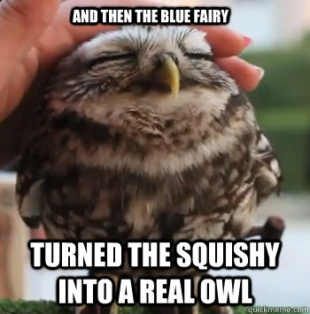 and then the blue fairy turned the squishy into a real owl - and then the blue fairy turned the squishy into a real owl  cute owl