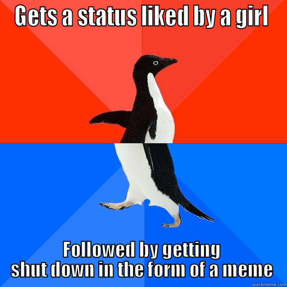 GETS A STATUS LIKED BY A GIRL FOLLOWED BY GETTING SHUT DOWN IN THE FORM OF A MEME Socially Awesome Awkward Penguin