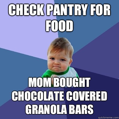 Check pantry for food Mom bought chocolate covered granola bars - Check pantry for food Mom bought chocolate covered granola bars  Success Kid