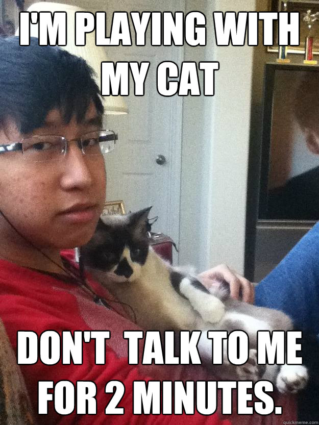 I'm playing with my cat Don't  talk to me for 2 minutes.  