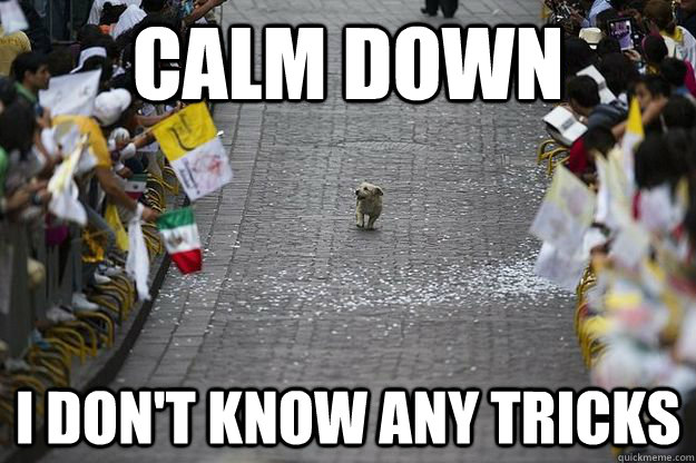 calm down I don't know any tricks - calm down I don't know any tricks  Misc