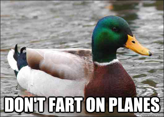  Don't fart on planes  Actual Advice Mallard