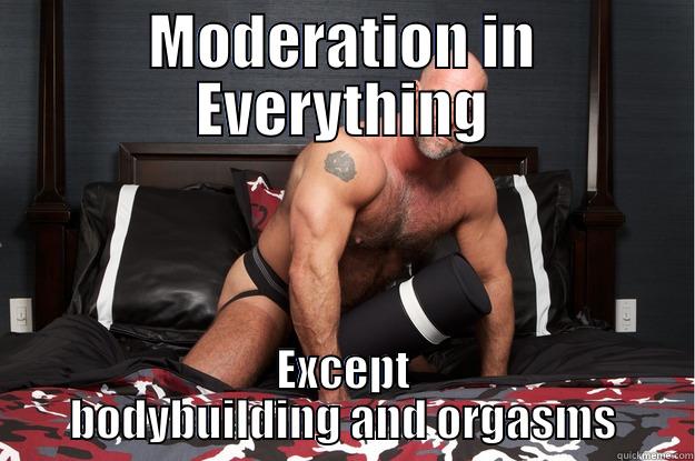 MODERATION IN EVERYTHING EXCEPT BODYBUILDING AND ORGASMS Gorilla Man