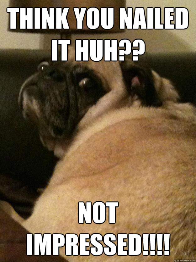 Think you Nailed it huh?? NOT IMPRESSED!!!!  Unimpressed Pug Not Impressed
