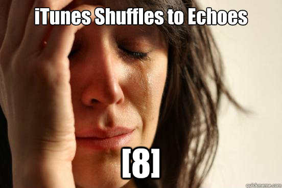 iTunes Shuffles to Echoes [8]  First World Problems