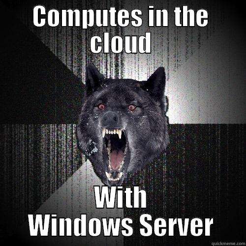 COMPUTES IN THE CLOUD WITH WINDOWS SERVER Insanity Wolf