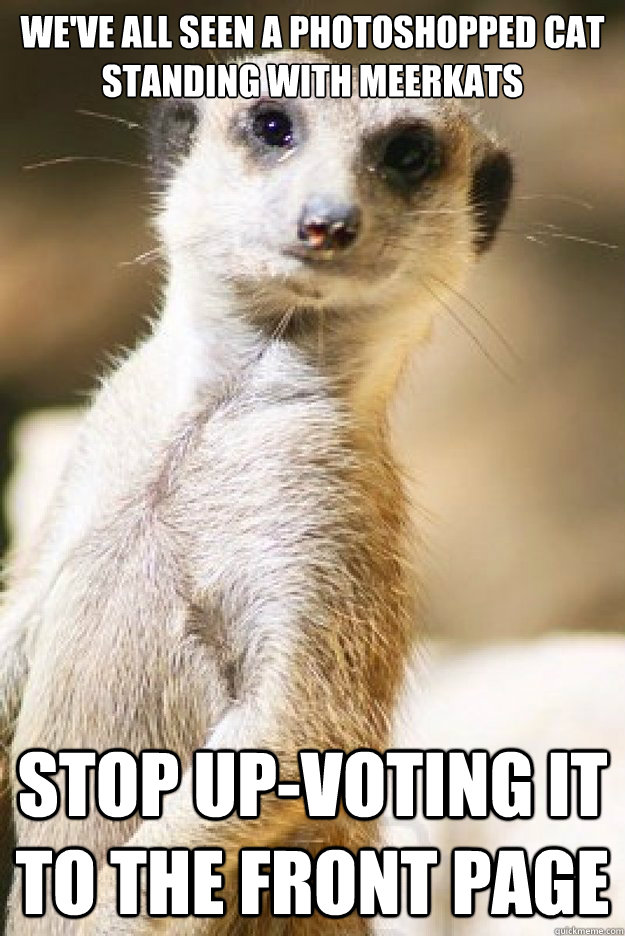 We've all seen a photoshopped cat standing with meerkats Stop up-voting it to the front page  Meerkat Slap
