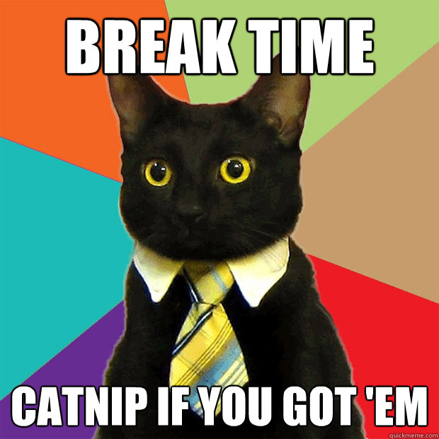 Break time Catnip if you got 'em - Break time Catnip if you got 'em  Business Cat