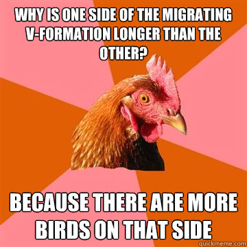 why is one side of the migrating v-formation longer than the other? because there are more birds on that side - why is one side of the migrating v-formation longer than the other? because there are more birds on that side  Anti-Joke Chicken