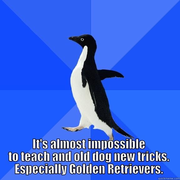 for the record penguin -  IT'S ALMOST IMPOSSIBLE TO TEACH AND OLD DOG NEW TRICKS. ESPECIALLY GOLDEN RETRIEVERS. Socially Awkward Penguin