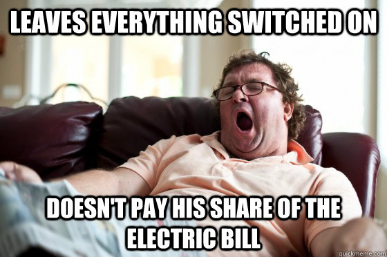 Leaves everything switched on Doesn't pay his share of the electric bill  Freeloader Roommate