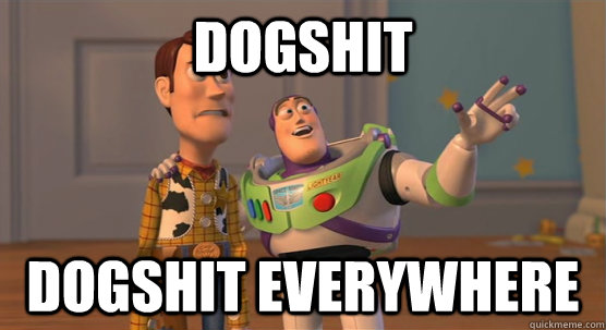 Dogshit dogshit everywhere  Toy Story Everywhere