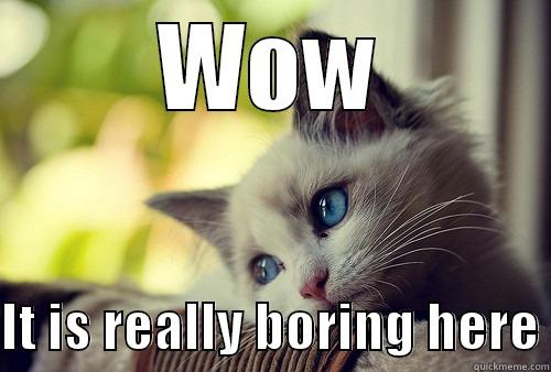 WOW  IT IS REALLY BORING HERE First World Problems Cat