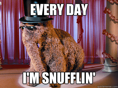 every day i'm snufflin'  