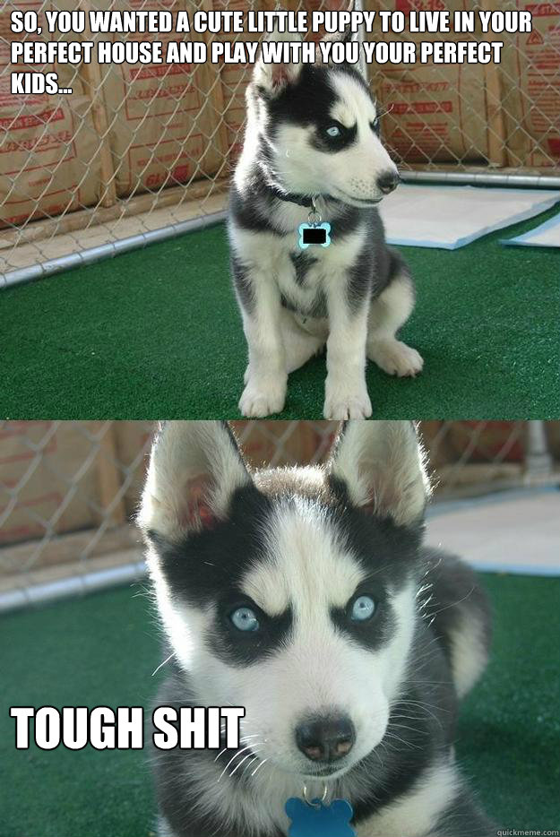 So, you wanted a cute little puppy to live in your perfect house and play with you your perfect kids... Tough Shit  Insanity puppy