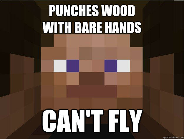 punches wood
with bare hands can't fly - punches wood
with bare hands can't fly  Minecraft Logic