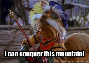  I can conquer this mountain!  Didymus