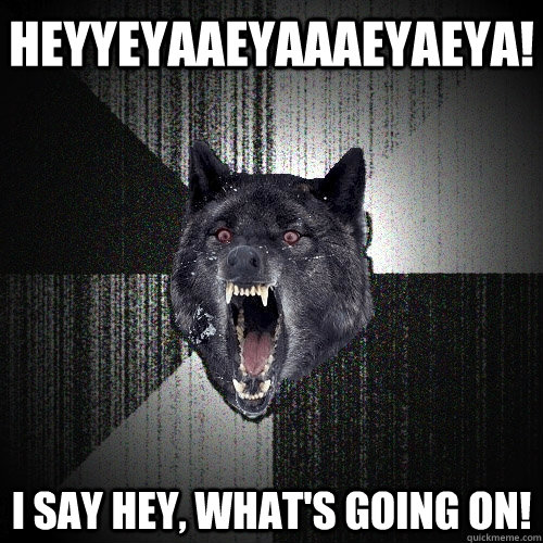 heyyeyaaeyaaaeyaeya! i say hey, what's going on!  Insanity Wolf