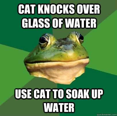 Cat knocks over glass of water Use cat to soak up water  Foul Bachelor Frog