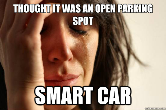 thought it was an open parking spot smart car  First World Problems