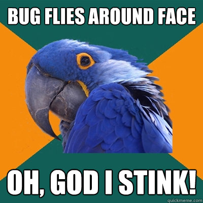 Bug flies around face Oh, god I stink!  Paranoid Parrot