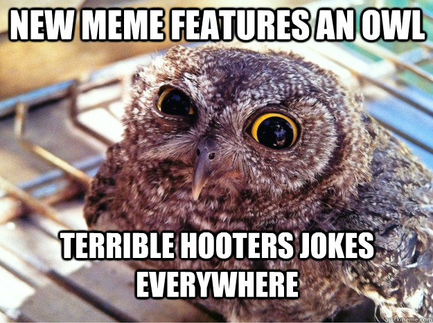 new meme features an owl terrible hooters jokes everywhere - new meme features an owl terrible hooters jokes everywhere  Skeptical Owl
