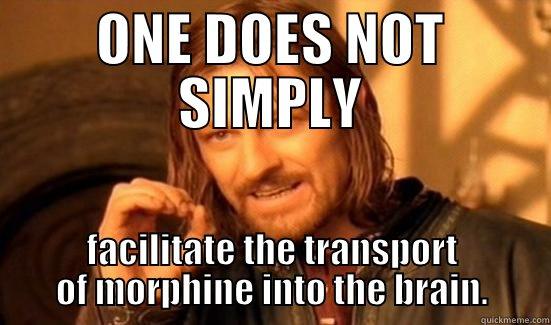 ONE DOES NOT SIMPLY FACILITATE THE TRANSPORT OF MORPHINE INTO THE BRAIN. Boromir