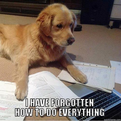 dogputer dog is forgetful -  I HAVE FORGOTTEN HOW TO DO EVERYTHING Misc