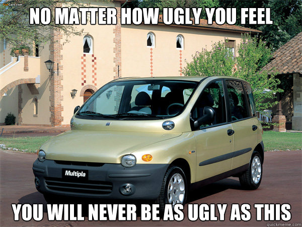No matter how ugly you feel You will never be as ugly as this  Fiat Multipla Fail
