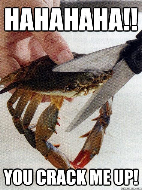 HAHAHAHA!! You crack me up! - HAHAHAHA!! You crack me up!  Optimistic Crab