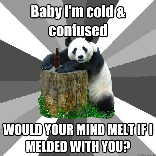 Baby I'm cold & confused WOULD YOUR MIND MELT IF I MELDED WITH YOU?  Pickup-Line Panda
