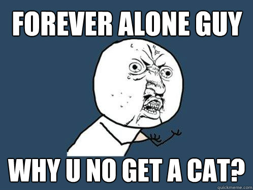 Forever alone guy WHY U NO GET A CAT?   Y U No