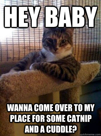 hey baby wanna come over to my place for some catnip and a cuddle?  The Most Interesting Cat in the World