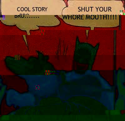 COOL STORY BRO....... SHUT YOUR WHORE MOUTH!!!!  Batman Slapping Robin