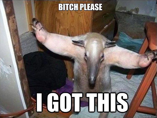 Bitch please i got this  I got this