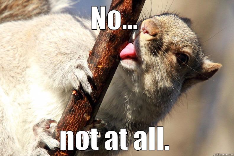 NO... NOT AT ALL. Misc