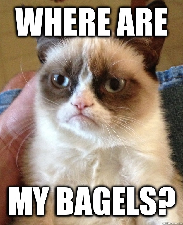 Where are My bagels? - Where are My bagels?  Grumpy Cat