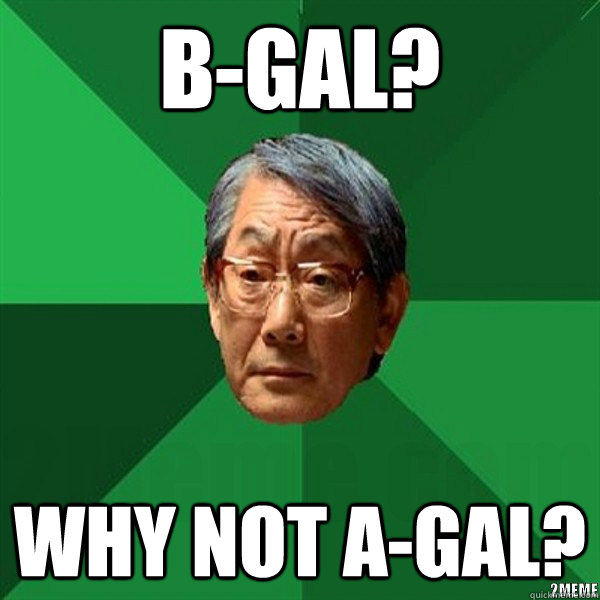 B-gal? why not A-gal?  