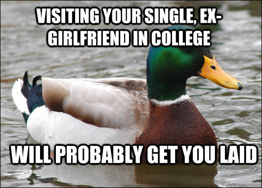 Visiting your single, ex-girlfriend in college Will probably get you laid  Actual Advice Mallard