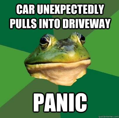 Car unexpectedly pulls into driveway Panic   Foul Bachelor Frog