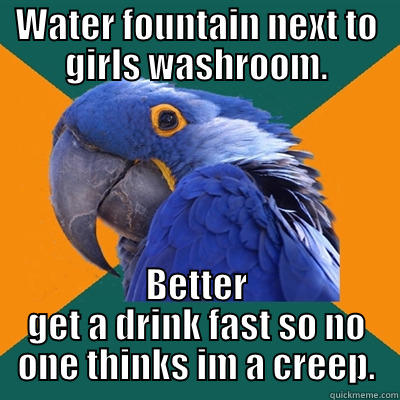 WATER FOUNTAIN NEXT TO GIRLS WASHROOM. BETTER GET A DRINK FAST SO NO ONE THINKS IM A CREEP. Paranoid Parrot