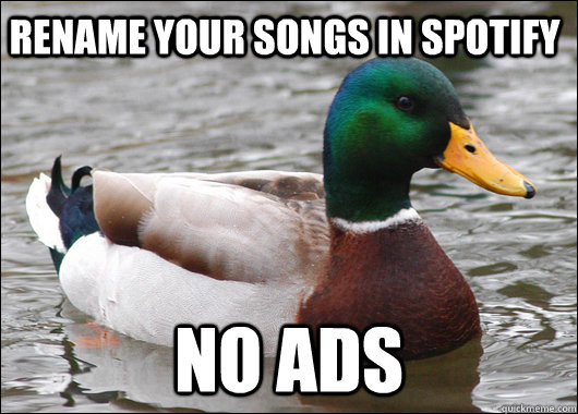 rename your songs in spotify no ads  Actual Advice Mallard