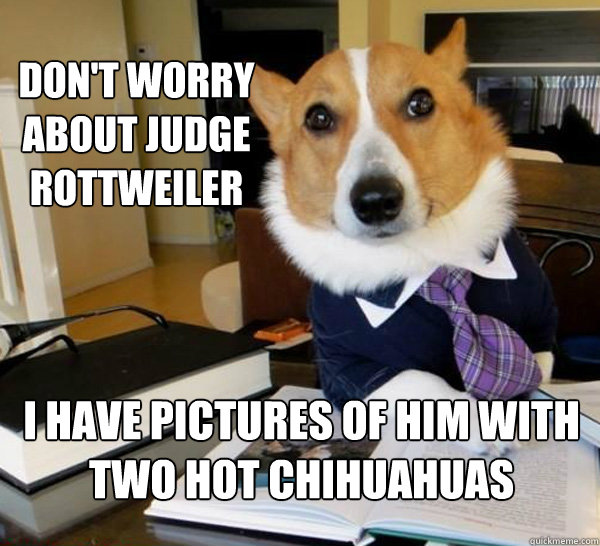 Don't worry about judge rottweiler i have pictures of him with 
two hot chihuahuas  Lawyer Dog