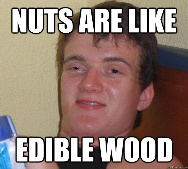 NUTS ARE LIKE EDIBLE WOOD  10 Guy