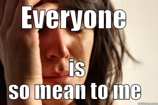 EVERYONE  IS SO MEAN TO ME  First World Problems