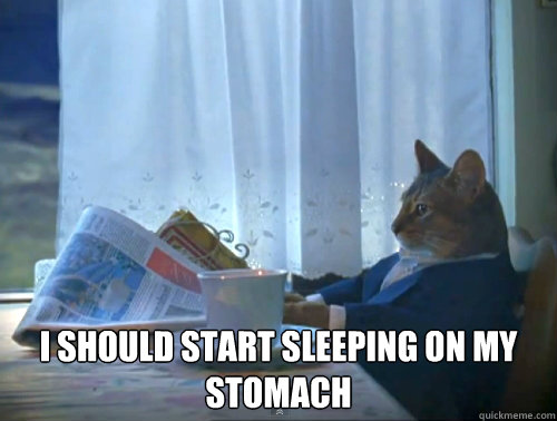  I should start sleeping on my stomach  The One Percent Cat